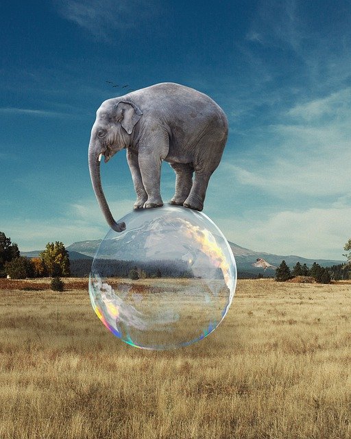 Image of an elephant balancing on a bubble to support the text about balance