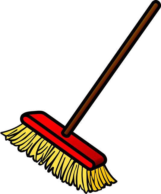 Image of a Long Handled Brush for sweeping