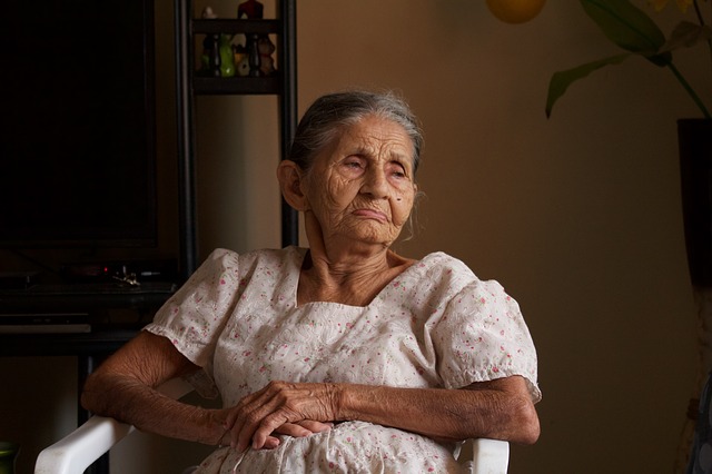 Image of elderly lady confined to her home to support the text