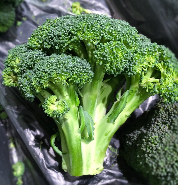 Image of some broccoli to support the text on cruciferous vegetables