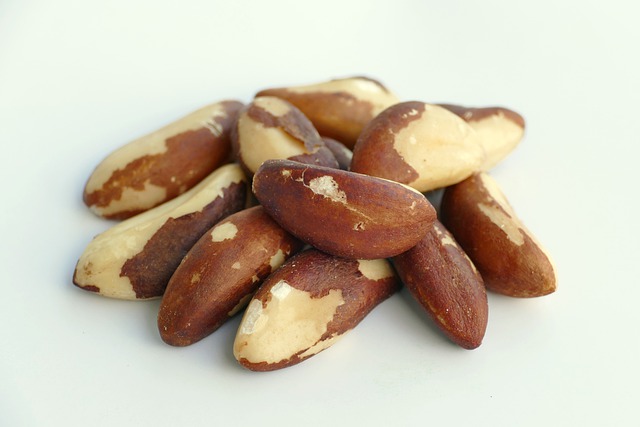 Image of Brazil nuts to support the text