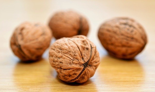 Image of walnuts to support the text