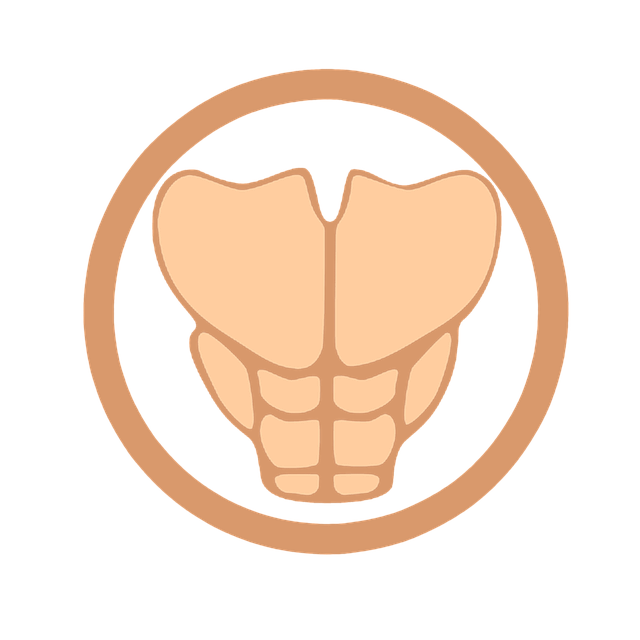 Illustration of six pack muscles