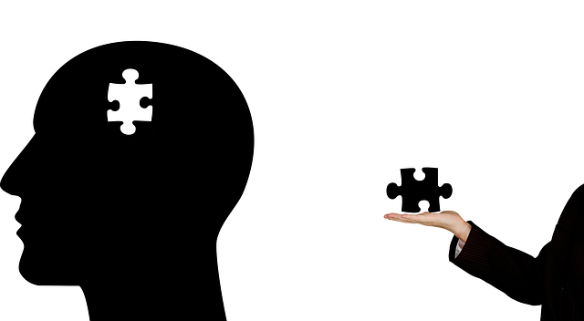 Image of a head with a piece missing to support the text on memory supplements