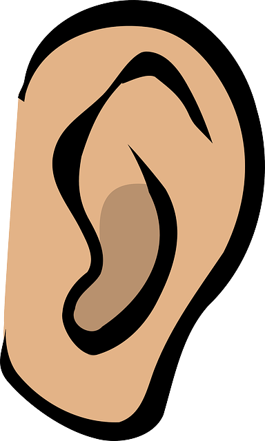 Image of an ear to support the text on hearing loss, mild levels of hearing loss increase the risk of dementia, hearing loss can lead to social isolation, and loss of independence
