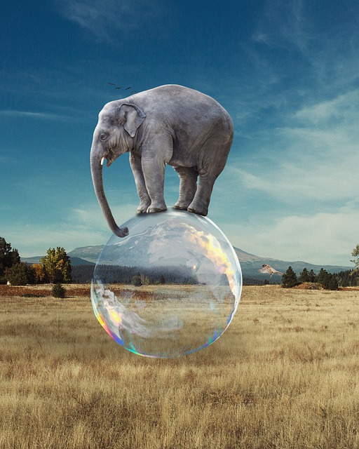 Image of an elephant balanced on a bubble to support the text on improving balance