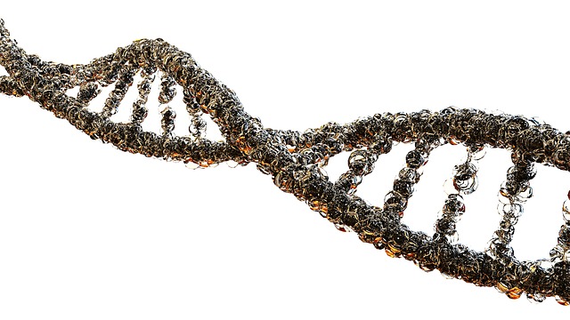 Image of a DNA strand to support the text