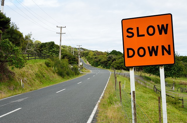 Image of a slow down sign to support the text 