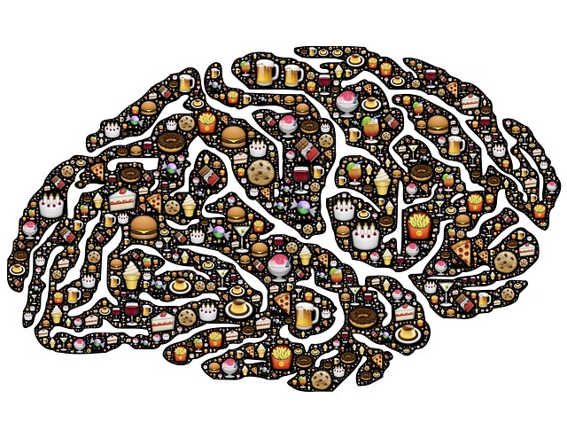 Image of a brain filled with food to support the text
