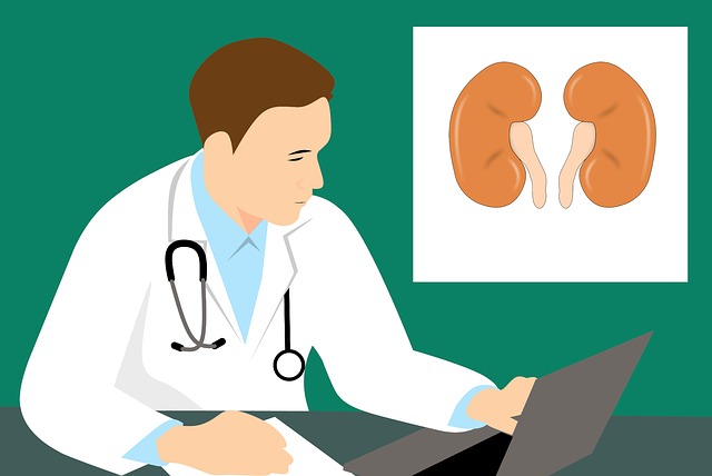 Image of a doctor with kidneys to support the text on why salt ican cause kidney disease