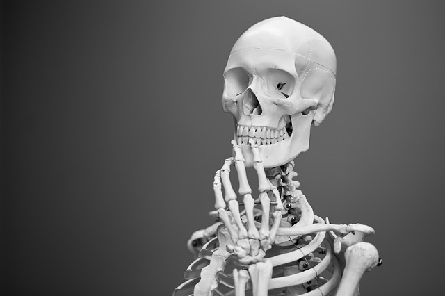image of a skeleton, bones get stronger with jumping