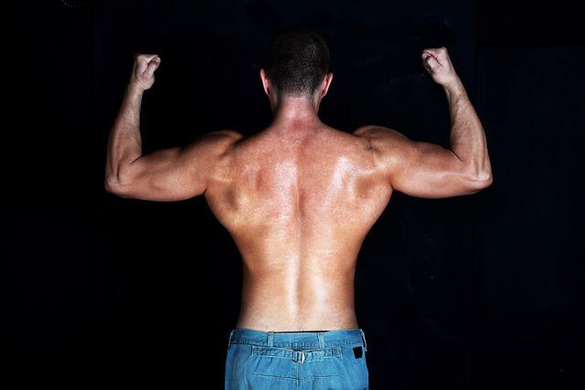 Back Muscles
