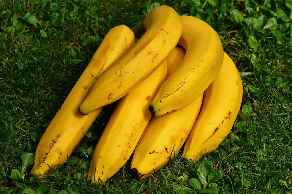 Bananas are a great source of potassium, it plays a part in almost everything inside your body, including your heart, kidneys, muscles, and nerves. 
