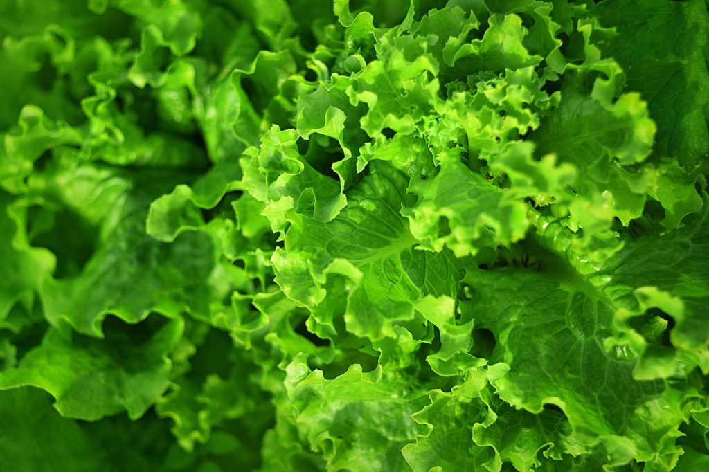 Leafy Greens supply magnesium, It helps your body make protein and bone