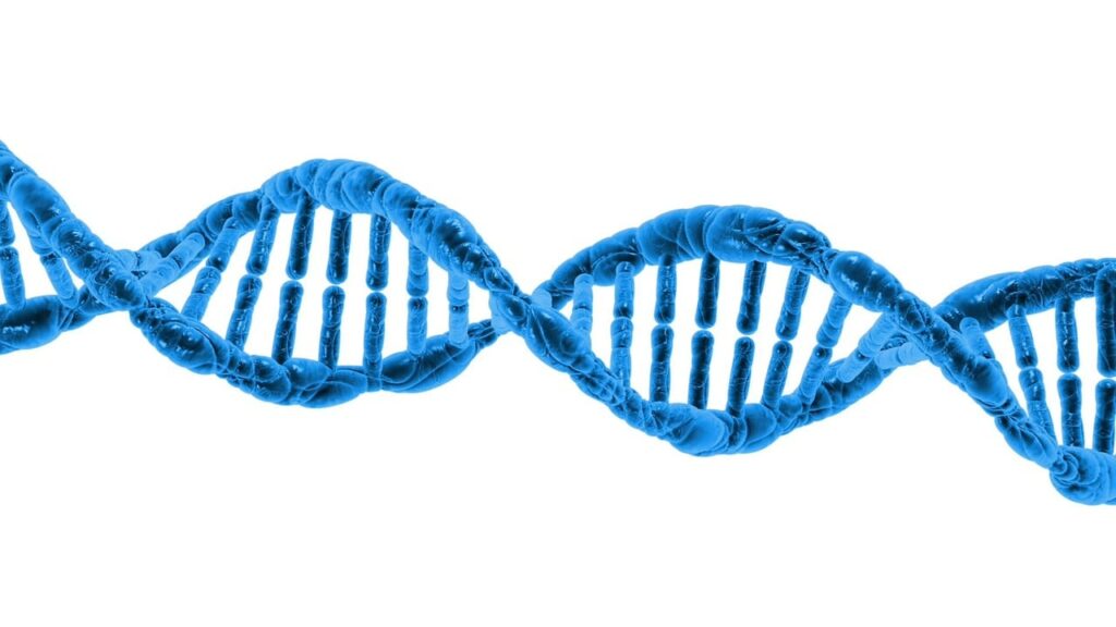 dna and lifestyle both have an impact on your longevity