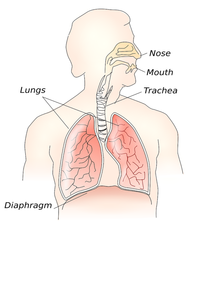 Breathing exercise is an important health protection that most of us are unaware of as we age