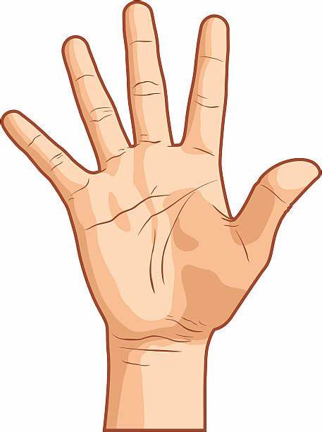 Musculoskeletal Hand Problems in Older Adults. Musculoskeletal hand problems are common in the population aged over 50 yrs.