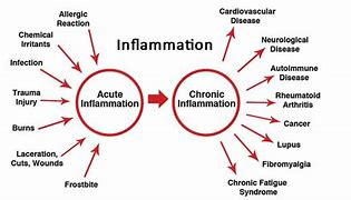 There are two main types: acute and chronic inflammation. Acute is sudden and temporary, while chronic can go on for months or years.