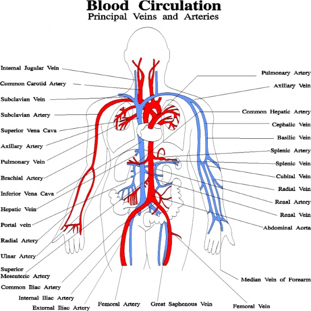 Benefits of Drinking Water 2. Without water, it would be impossible for nutrients and minerals to reach all your cells. The minerals and nutrients dissolve in the water making it possible for them to reach all your body parts.