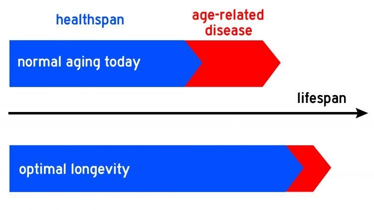 Longevity, health span as “the period of life free of major chronic clinical diseases and disability.” It’s based on the premise that life can be roughly divided into two phases: a period of relatively healthy aging (health span) and a period of age-associated disease and disability.