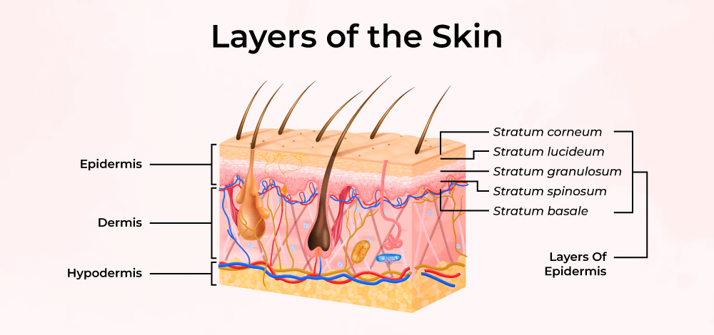 as You Age. We’ve all seen the “liver spots” -- or "age spots" -- that can show up after years in the sun. As your skin ages and wrinkles, it’s harder to keep moisture in, and that can lead to dry, itchy skin. Veins become more obvious with age because you lose soft tissue. This is especially true in your hands.