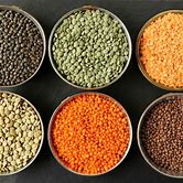 Biblical grains, or lentils, are a true treasure trove of health benefits. A superfood. And especially valuable for people over 50.