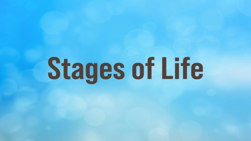 Retirement A New Life Phase, what makes retirement such a different phase of life. And why it can feel both exciting and unsettling. But most importantly, how to navigate it with strength, purpose, and confidence.