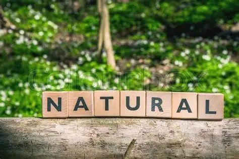 Natural ways to remove lead and mercury from the body. For mild exposure or ongoing prevention, natural detox support can help the body’s own cleansing systems (liver, kidneys, gut, and skin) function more efficiently.