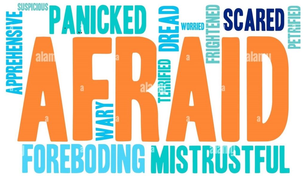 Major Fears Older Adults Face. fear of losing independence. Fear of Ageing. For many older adults, independence is tied to identity, pride, and dignity. 